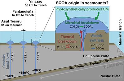 Origin of Short-Chain Organic Acids in Serpentinite Mud Volcanoes of the Mariana Convergent Margin